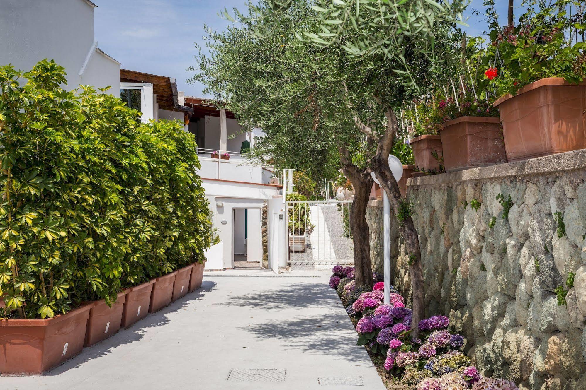 Relais Romildanna Acomodação com café da manhã Forio di Ischia Exterior foto